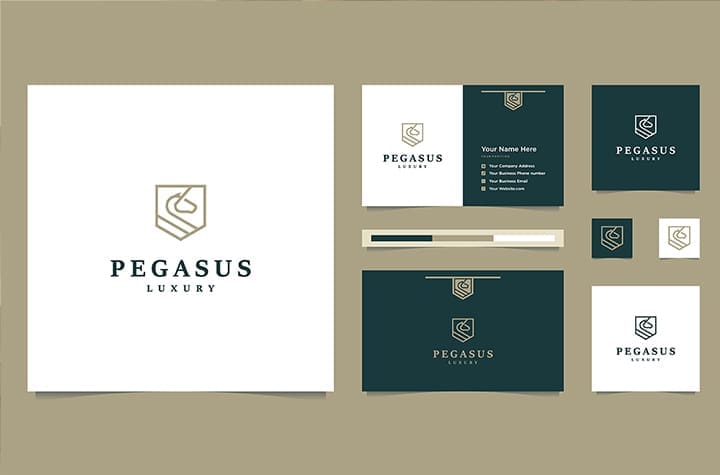 What is a Brand Package, How much do they Cost? Images of a Branding package for the company Pegasus.